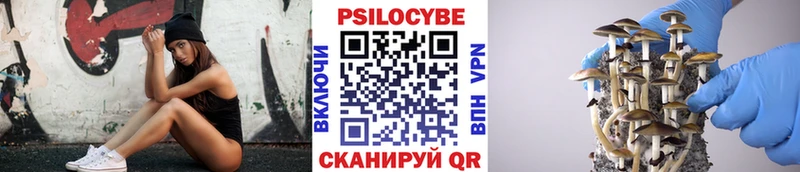 Псилоцибиновые грибы MAGIC MUSHROOMS  Касимов 